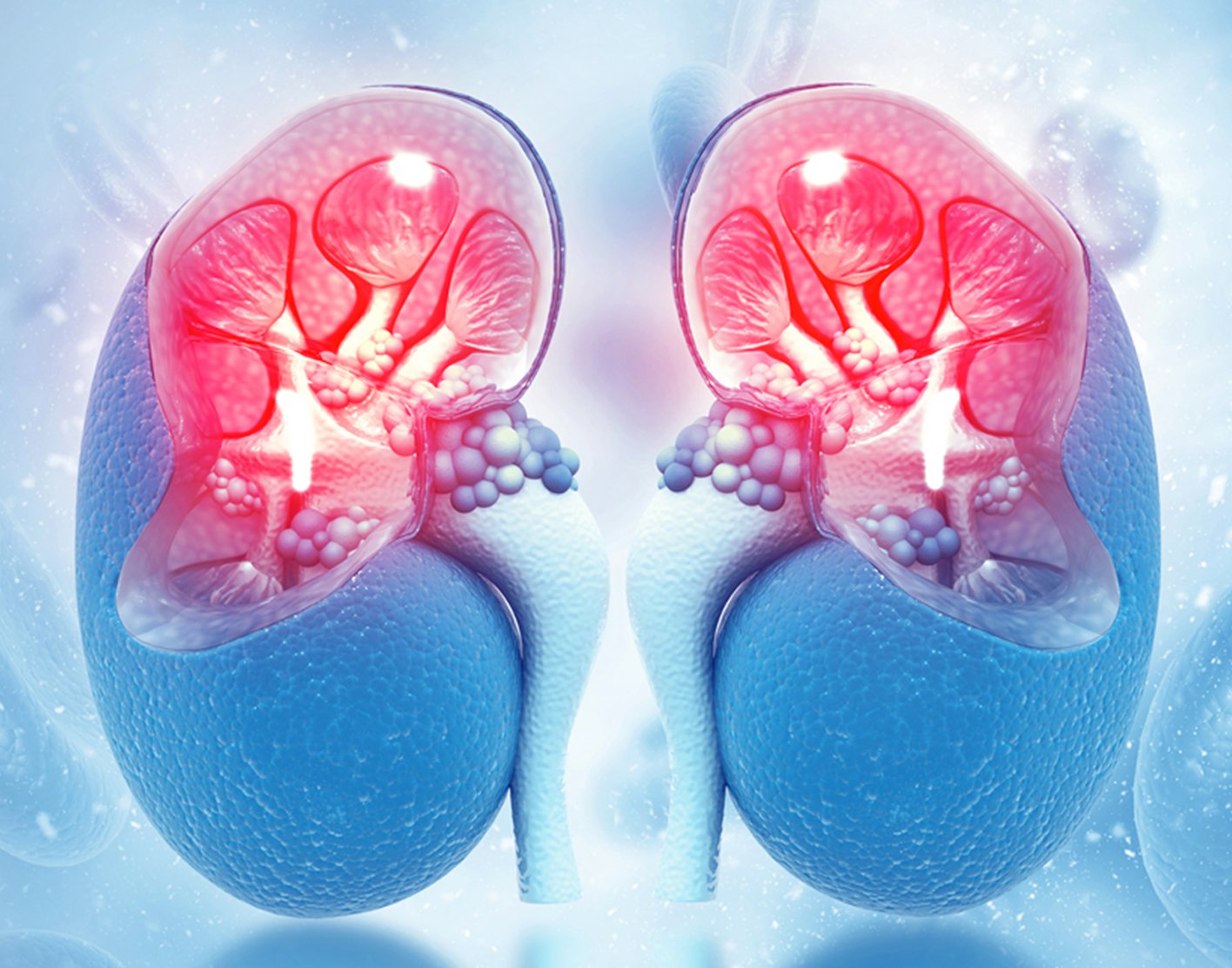 Renal perfusion scintiscan